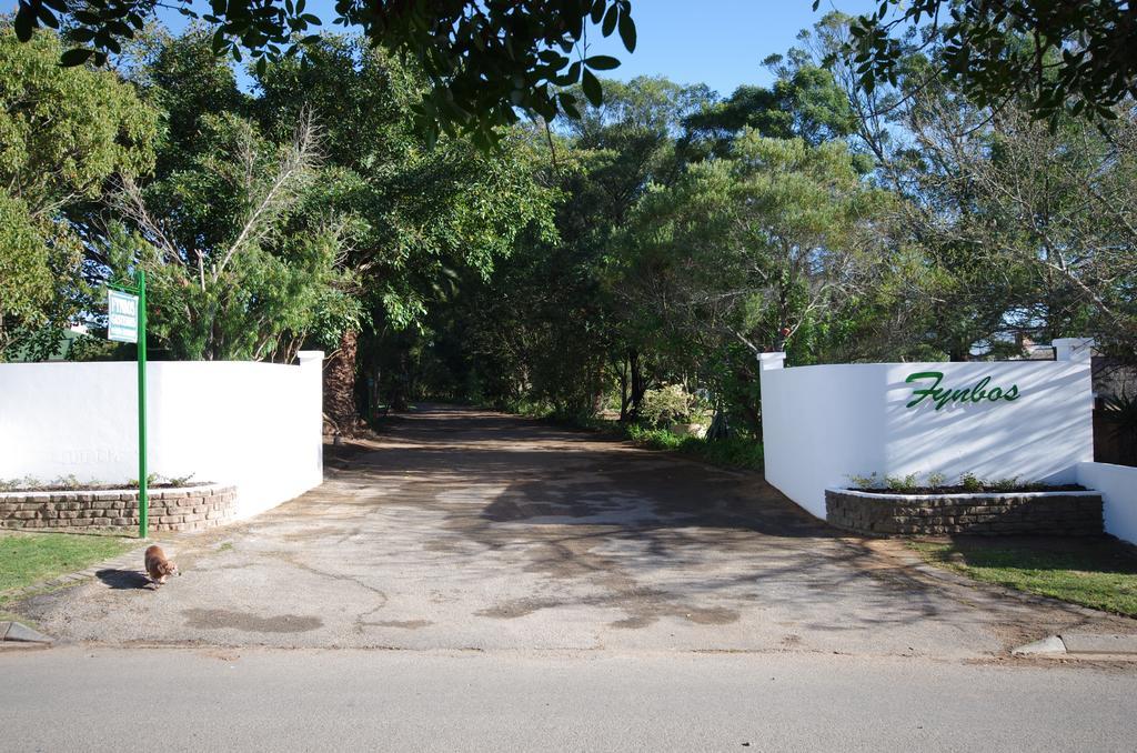 Fynbos Guest House Riversdale Extérieur photo