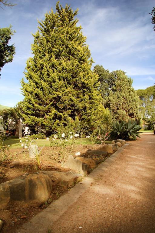 Fynbos Guest House Riversdale Extérieur photo